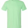 Gildan_64000_Mint_Green_Front_High.jpg